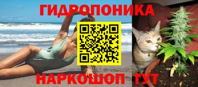 бутират Сланцы