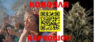 гидра Славянск-на-Кубани