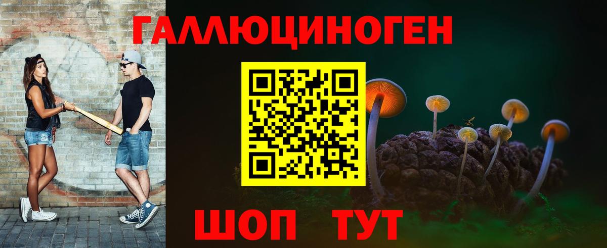 Галлюциногенные грибы прущие грибы  Псилоцибиновые грибы Psilocybine cubensis  Узловая  Вход с VPN 